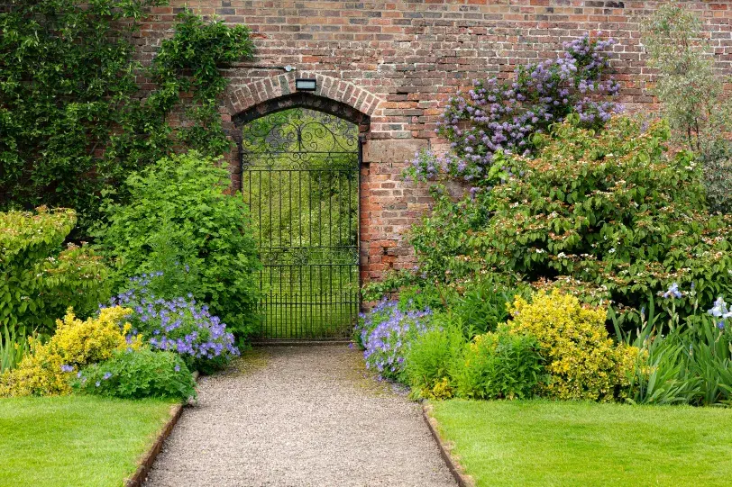 allée de jardin allée de jardin